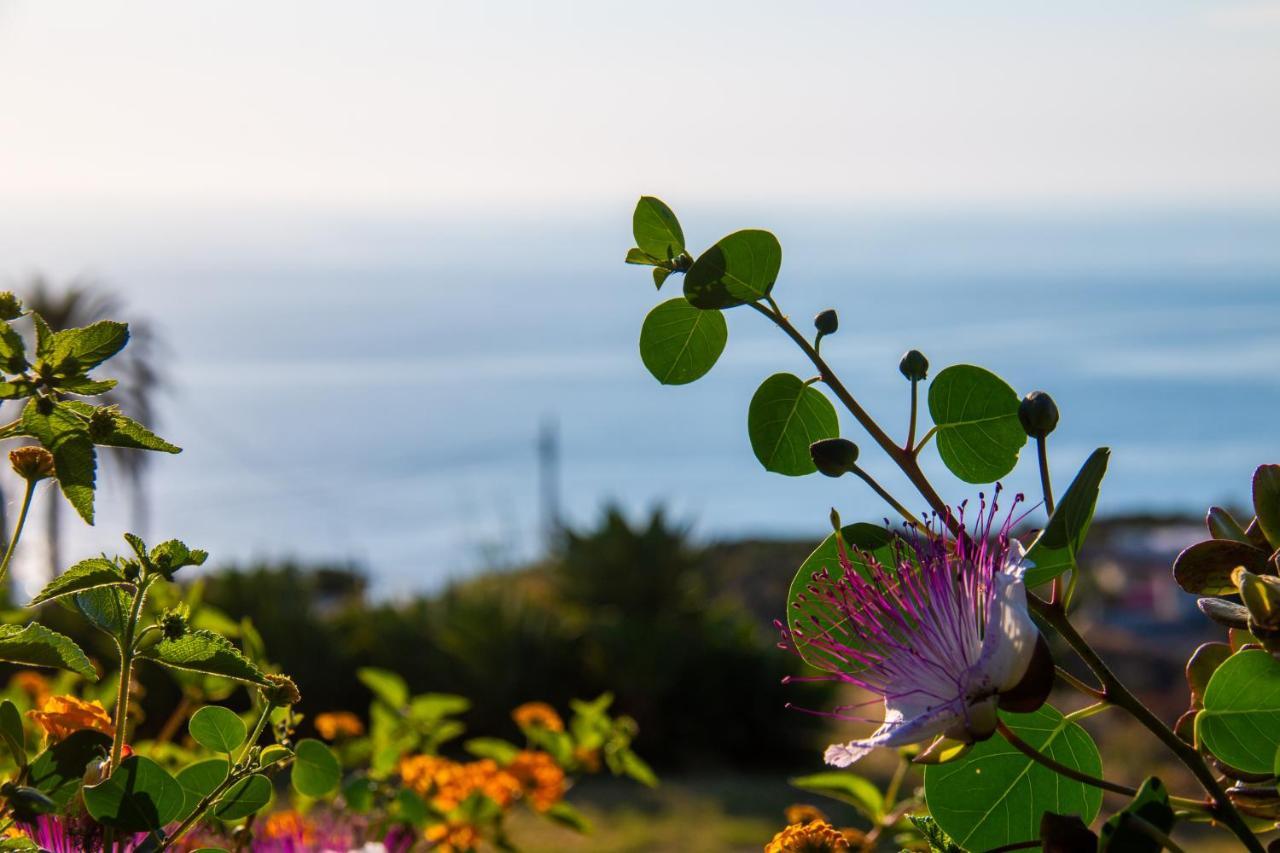 Agriturismo Al Cappero Malfa  Ngoại thất bức ảnh