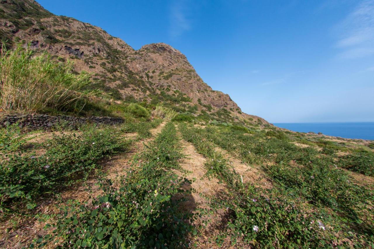 Agriturismo Al Cappero Malfa  Ngoại thất bức ảnh