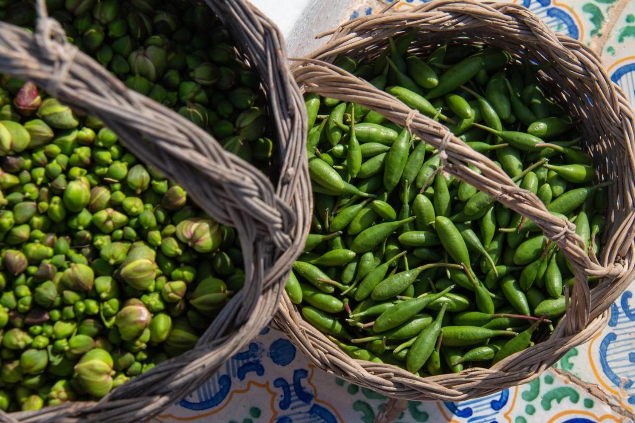 Agriturismo Al Cappero Malfa  Ngoại thất bức ảnh
