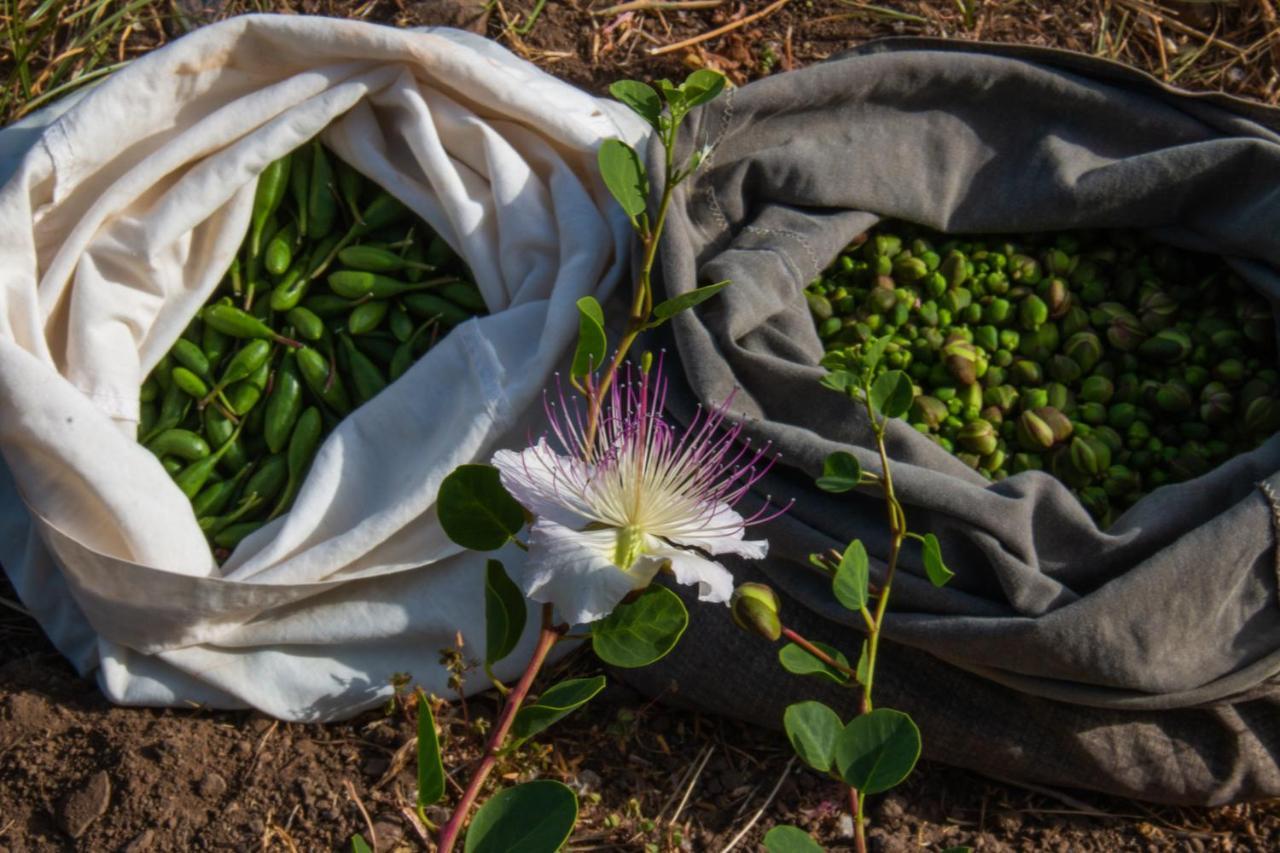 Agriturismo Al Cappero Malfa  Ngoại thất bức ảnh
