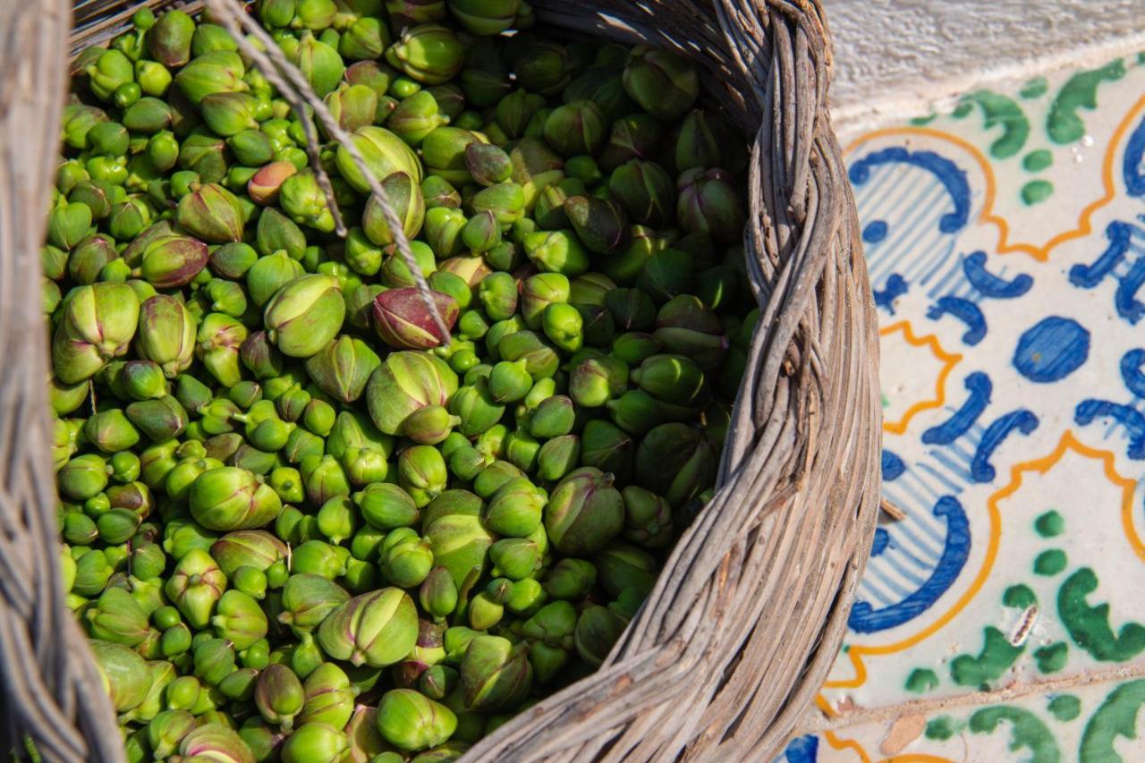 Agriturismo Al Cappero Malfa  Ngoại thất bức ảnh